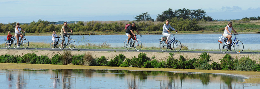 un séjour à l'ile de Ré