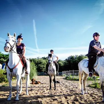 promenade equestre